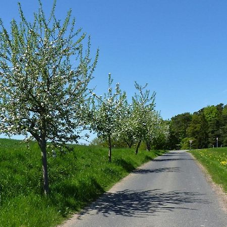 Ferienwohnung Familie Jacobi "Kurfuerst" Naumburg  Εξωτερικό φωτογραφία